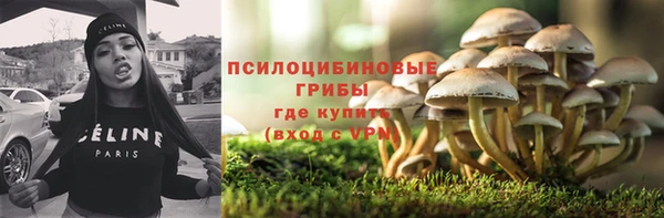 соль ск Белоозёрский