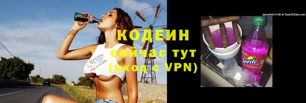 стаф Дмитриев