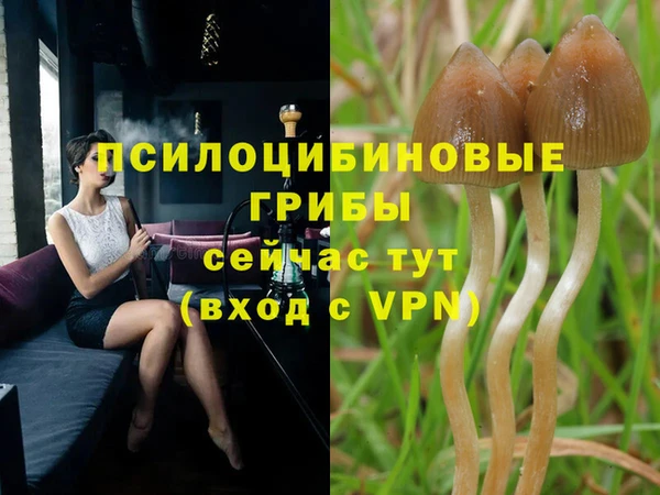 ECSTASY Белокуриха