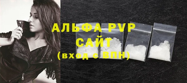 ECSTASY Белокуриха