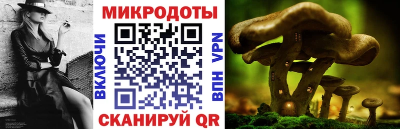 Галлюциногенные грибы Psilocybe  магазин  наркотиков  Гаврилов-Ям 